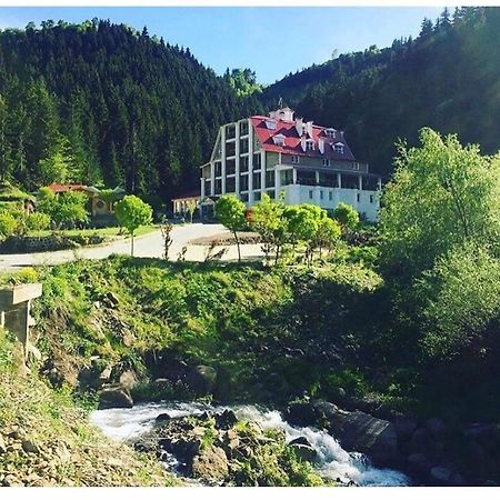 Hotel Green Valley Savsat エクステリア 写真