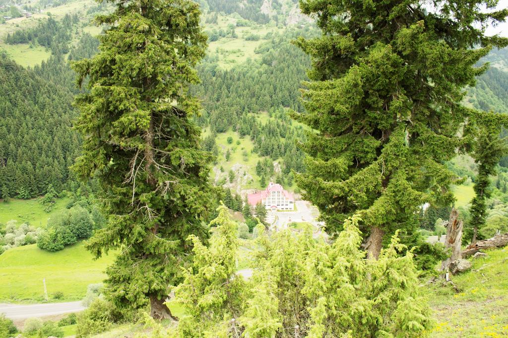 Hotel Green Valley Savsat エクステリア 写真