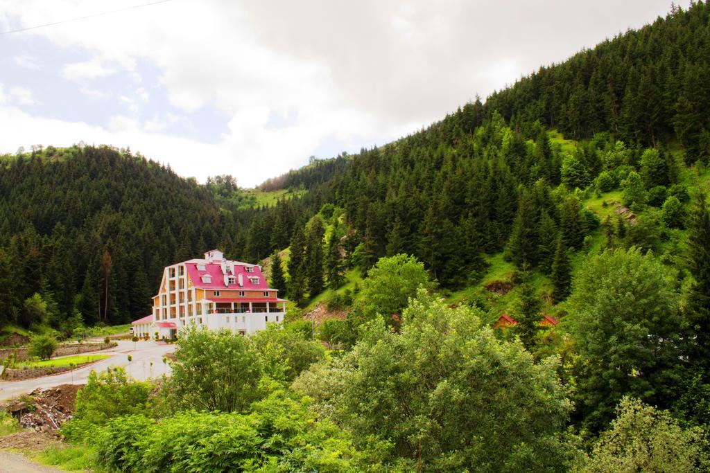 Hotel Green Valley Savsat エクステリア 写真