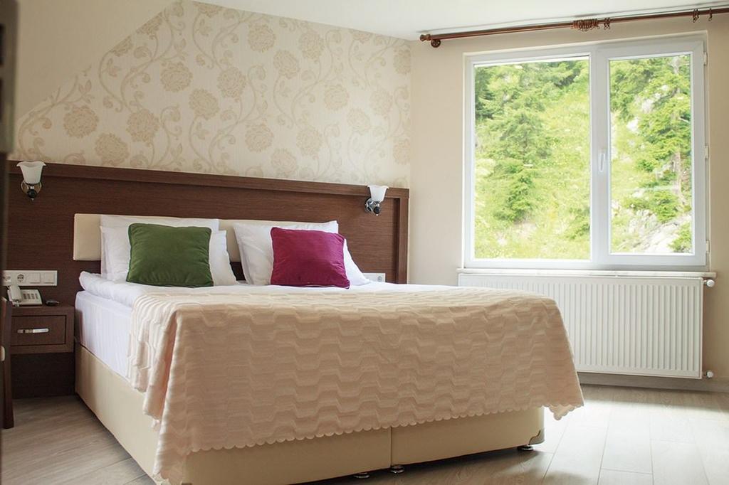 Hotel Green Valley Savsat 部屋 写真