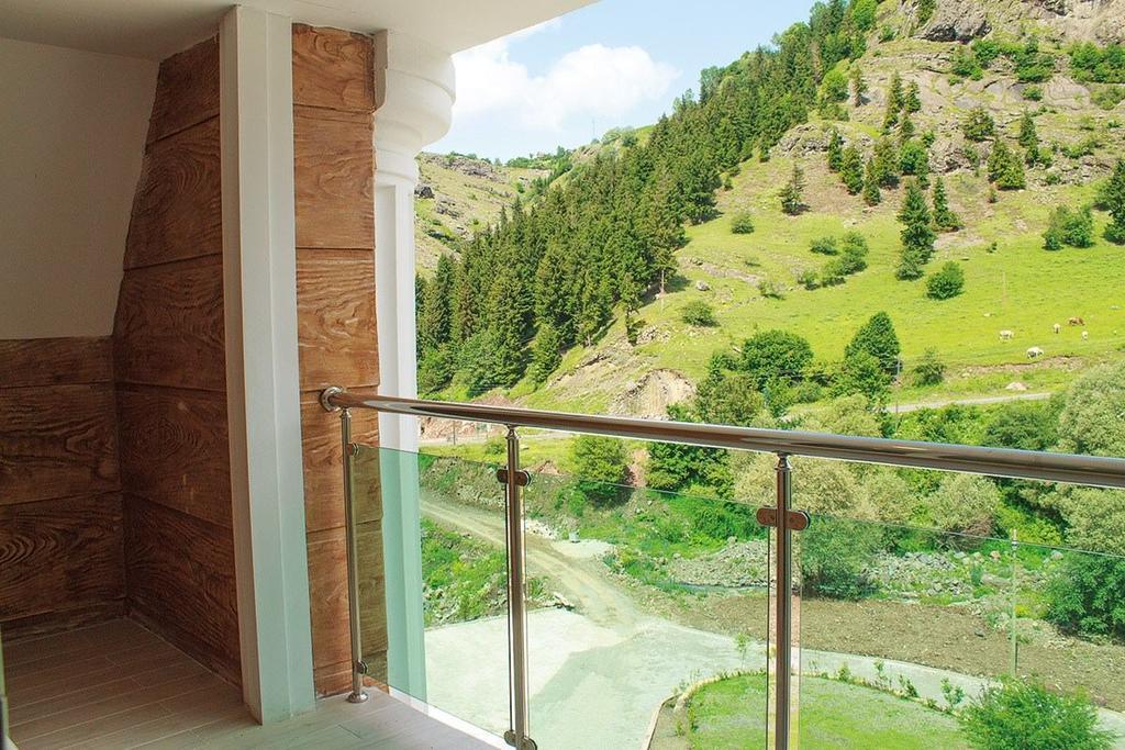Hotel Green Valley Savsat 部屋 写真