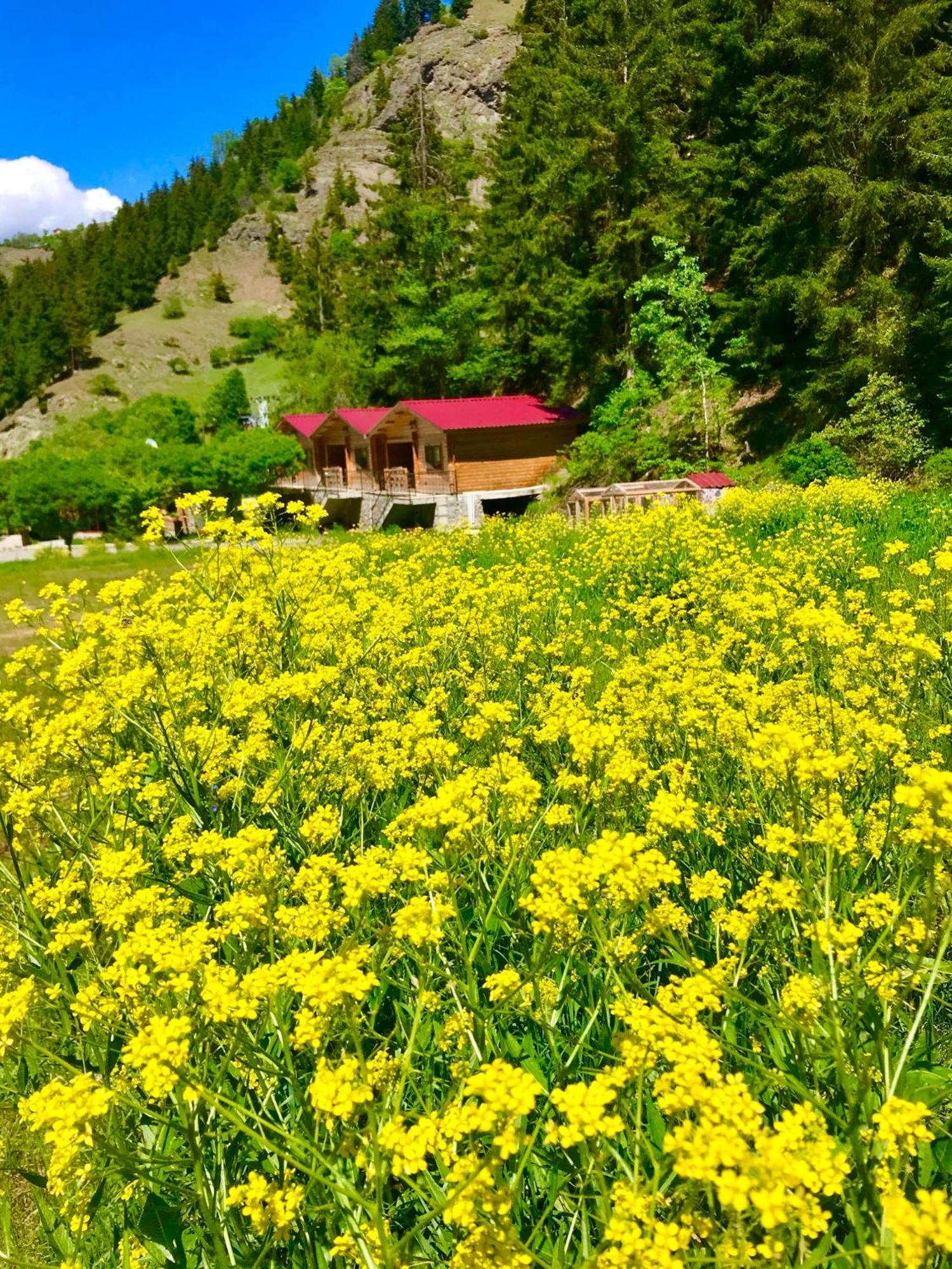 Hotel Green Valley Savsat エクステリア 写真